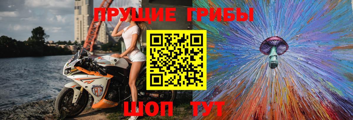 Псилоцибиновые грибы Magic Shrooms Элиста